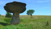 PICTURES/Mushroom State Park - Marquette, KS/t_Saucer2.JPG